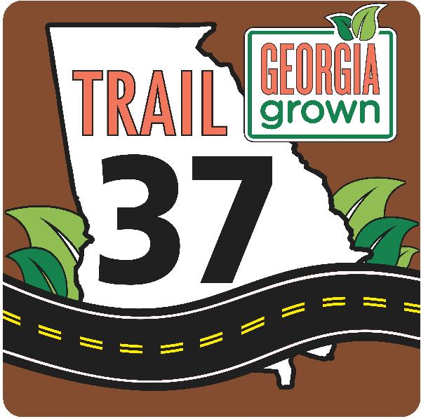 trail-37-new-logo-website